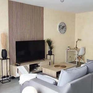 Les Allées Du Château, Proche Lyon Eurexpo Stade Appartement