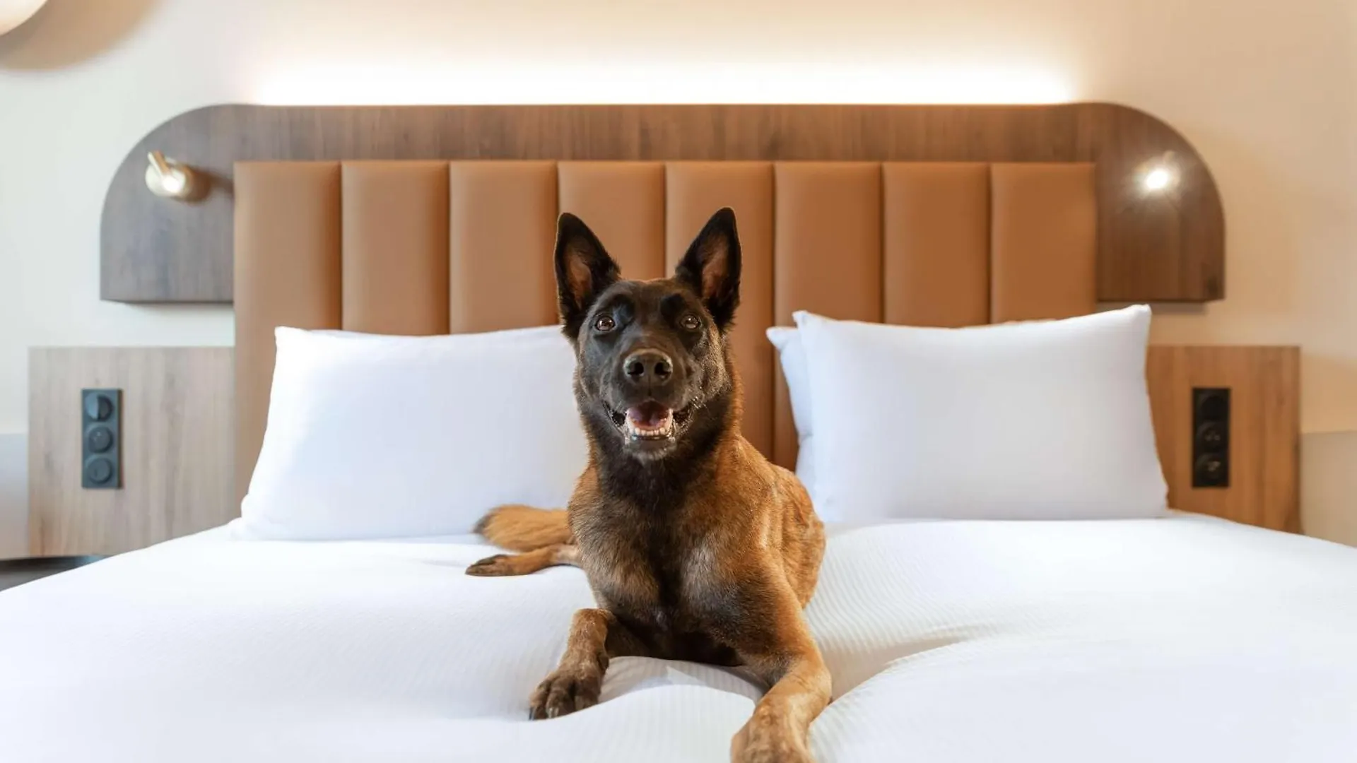 Doubletree By Hilton Lyon Eurexpo & Spa Saint-Priest  4*, Saint-Priest (Rhone) France
